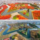 Công ty Nhật bị lên án vì chỉnh ảnh mùa thu khác với thực tế